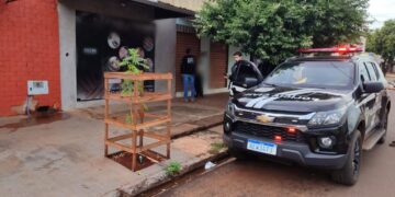 Operação “Ficta Persona” desarticula associação criminosa que aplicava golpes com documentos falsos em Campo Grande