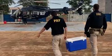 PRF realiza transporte de urgência de órgãos para transplante entre Dourados e Campo Grande