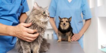 Suprova apresenta logística da Caravana da Castração e capacita municípios para primeira etapa da ação