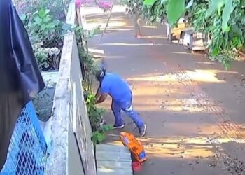 Pedacinho do Céu: Entregador tira foto de dois pacotes de ração, entrega só um em ONG e é flagrado por câmeras