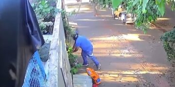 Pedacinho do Céu: Entregador tira foto de dois pacotes de ração, entrega só um em ONG e é flagrado por câmeras