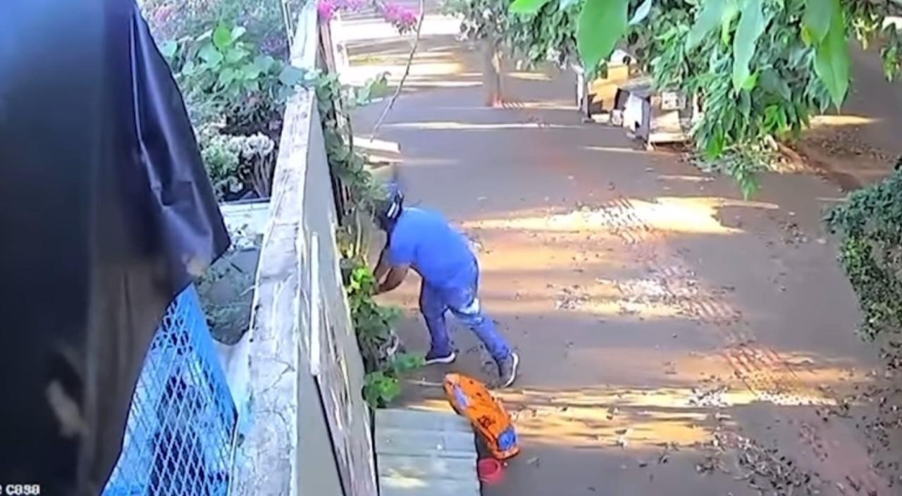 Pedacinho do Céu: Entregador tira foto de dois pacotes de ração, entrega só um em ONG e é flagrado por câmeras