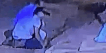 Homens são presos após serem flagrados matando pitbull asfixiado; imagens são fortes