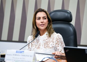 Soraya Thronicke assina petição contra cassação de Glauber Braga e fala em “perseguição política”
