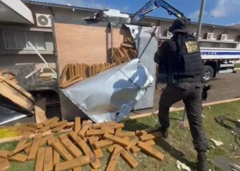 Polícia apreende 1,3 tonelada de maconha escondida em câmaras frias