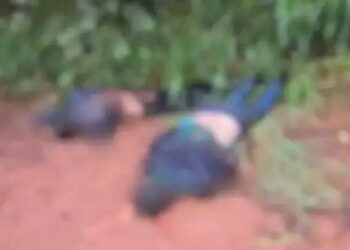 Dois corpos são encontrados com sinais de violência em estrada rural na fronteira com MS