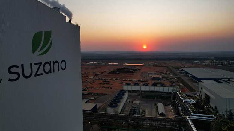 Suzano abre vagas em quatro cidades de MS com oportunidades técnicas e operacionais