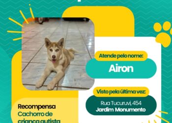 Você viu o Airon? Criança autista está a procura de cachorro que sumiu no Jd Monumento