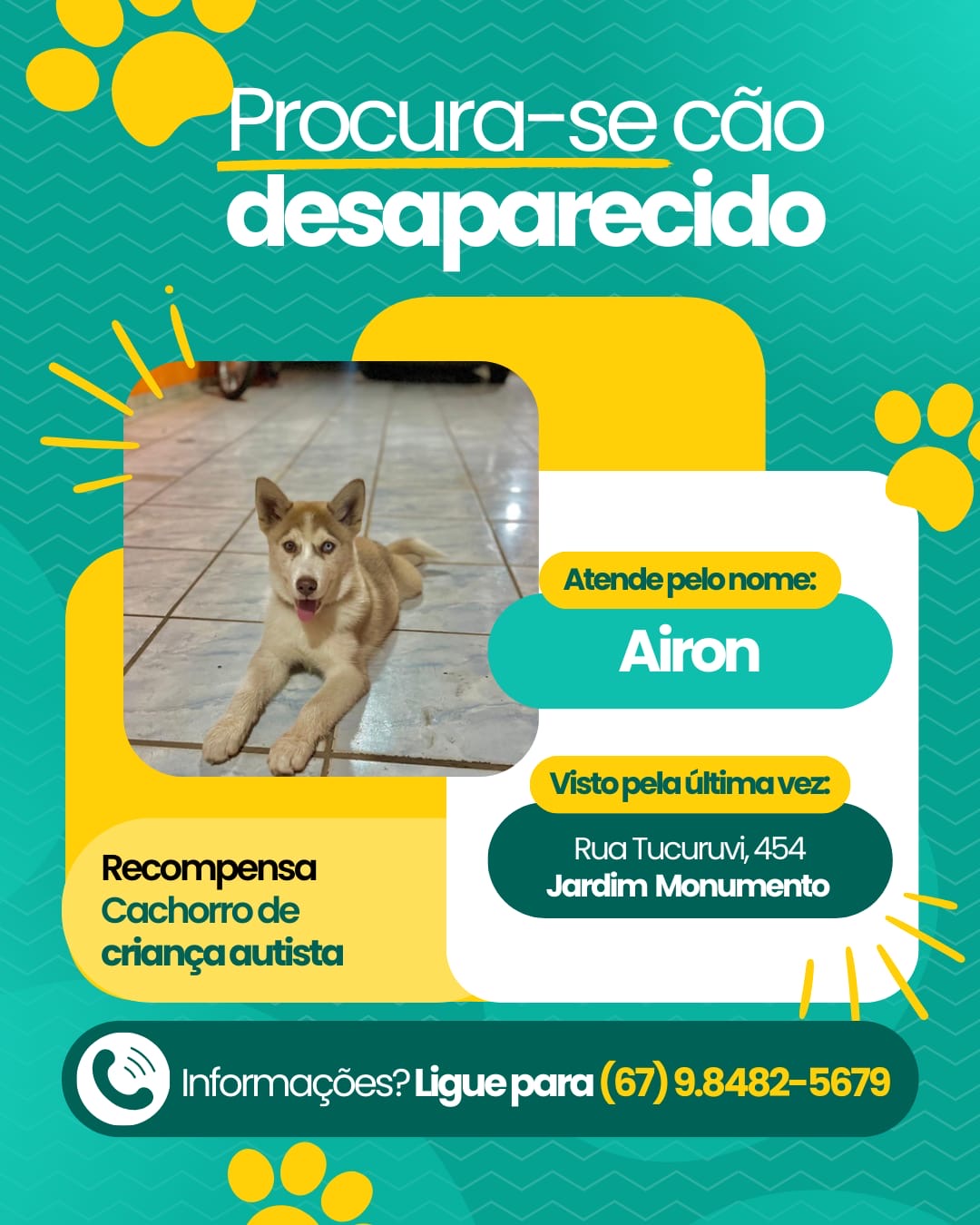Você viu o Airon? Criança autista está a procura de cachorro que sumiu no Jd Monumento