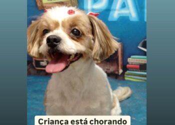 Família pede por ajuda após roubo da cadelinha Luna no Buriti