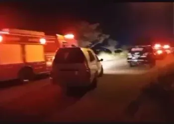 Corpos carbonizados de mulher e bebê são encontrados em área de mata no Indubrasil