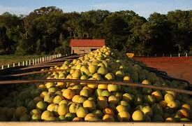 Trabalhadora denuncia intolerância religiosa após ser chamada de “pessoa do mal” e demitida em MS