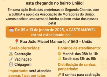 Mutirão leva castração e cuidados gratuitos a pets nos bairros União e Oliveira, em Campo Grande
