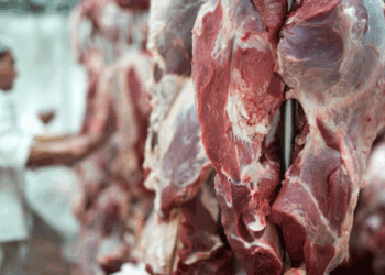 Açougueira denuncia assédio sexual e homofobia em supermercado de Nova Andradina