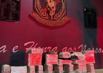 Irmãos são presos com 84 kg de maconha em entreposto de drogas na Capital