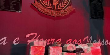 Irmãos são presos com 84 kg de maconha em entreposto de drogas na Capital