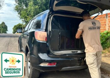 Homem é preso em Corumbá por divulgar imagens de abuso infantil na internet