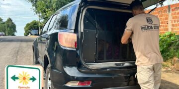 Homem é preso em Corumbá por divulgar imagens de abuso infantil na internet