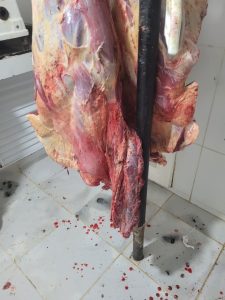 Açougue vendia carne de animais doentes e sem higiene; dois são presos em Selvíria
