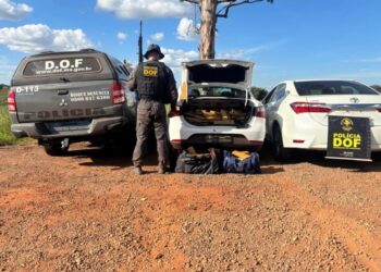 Polícia apreende mais de 300 kg de drogas em Anaurilândia e prende batedor