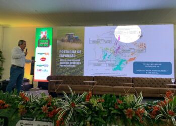 Suinocultura cresce em MS com alta produtividade, geração de empregos e aposta em sustentabilidade