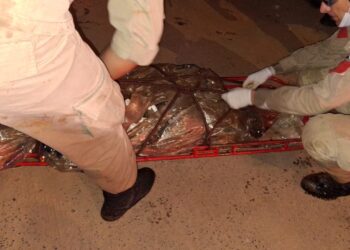 Homem é morto com golpes de foice e corpo é jogado em córrego 