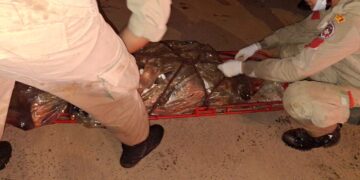 Homem é morto com golpes de foice e corpo é jogado em córrego 