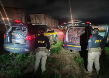 PRF apreende mais de uma tonelada de cocaína escondida em cargas de minério em MS