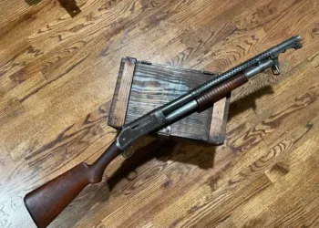 Homem é alvo de mandado após ameaçar companheira e tem espingarda apreendida em Corumbá