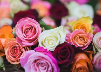 Flores ganham destaque no Dia das Mães e impulsionam setor varejista em MS