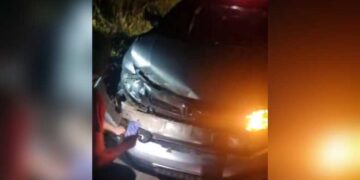 Carro recém-saído do conserto atropela anta e fica destruído na BR-060