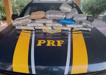 PRF apreende 10 kg de skunk e prende casal em vans na rodovia entre Corumbá e Campo Grande