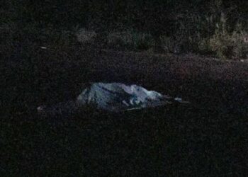 Motociclista morre após colisão frontal com carro na BR-158, em Brasilândia