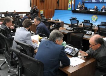 Projeto que reconhece o tuiuiú como ave símbolo do Pantanal de MS será votado