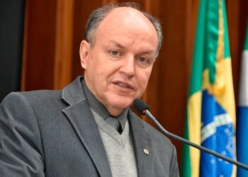 Lei:Tuiuiú é declarada ave símbolo do Pantanal Sul-Mato-Grossense