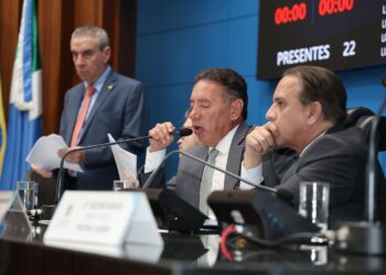 Ordem do Dia: Passa em 2ª projeto que obriga informar se carro é oriundo de leilão