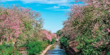 Após sábado escaldante, Campo Grande amanhece quente neste domingo