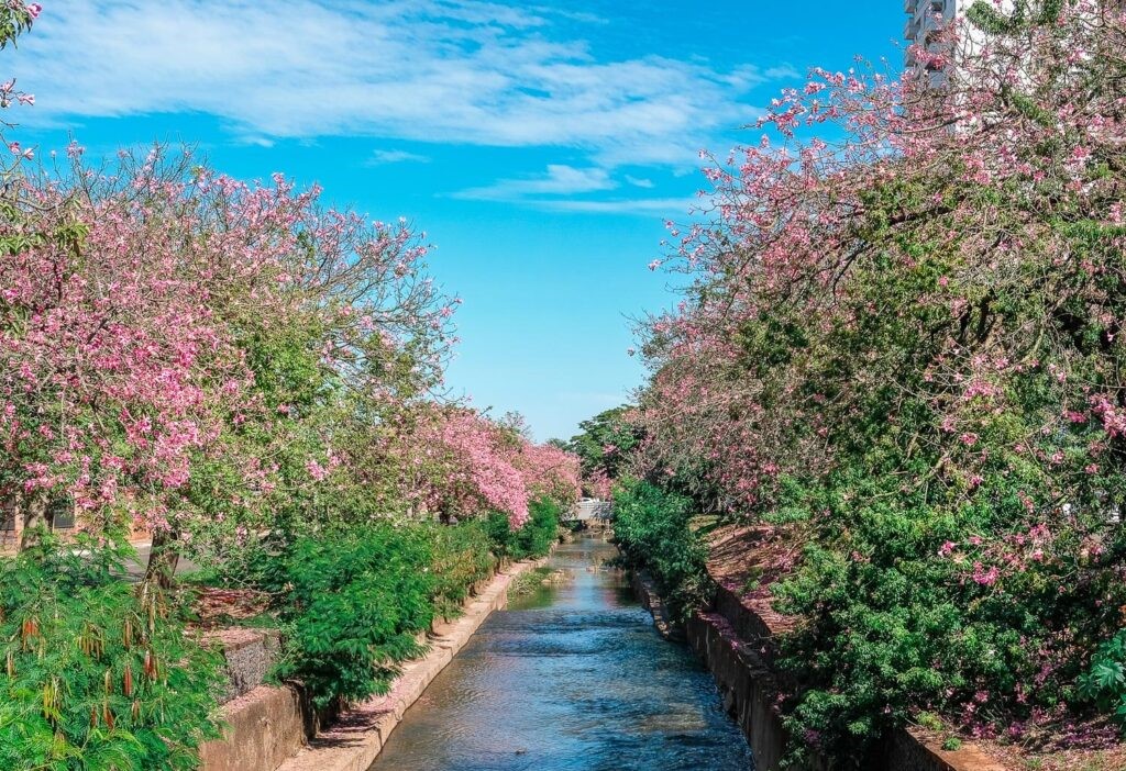 Após sábado escaldante, Campo Grande amanhece quente neste domingo