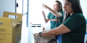 Consultório Móvel Veterinário leva atendimento para diversos bairros de Campo Grande no mês de julho