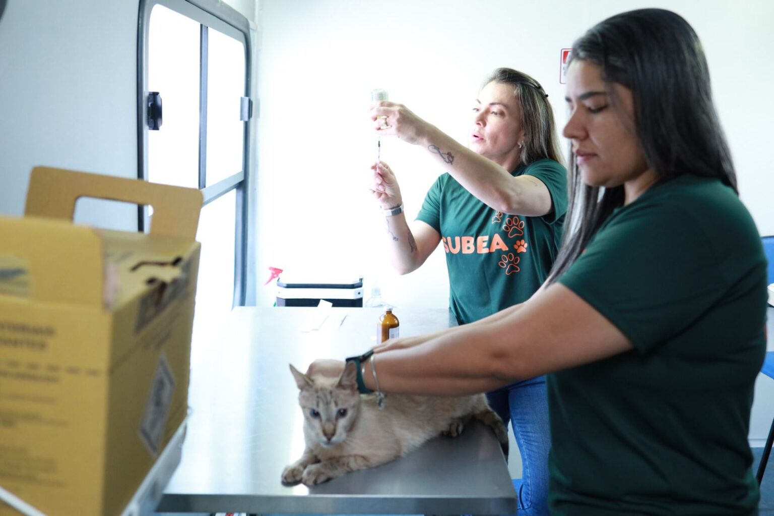 Consultório Móvel Veterinário leva atendimento para diversos bairros de Campo Grande no mês de julho