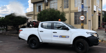 Confira os bairros que estão na rota do fumacê nesta terça-feira (22)