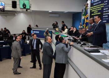 Vereadores votam proibição da planta murta e veto a projeto que atende demanda de mães atípicas