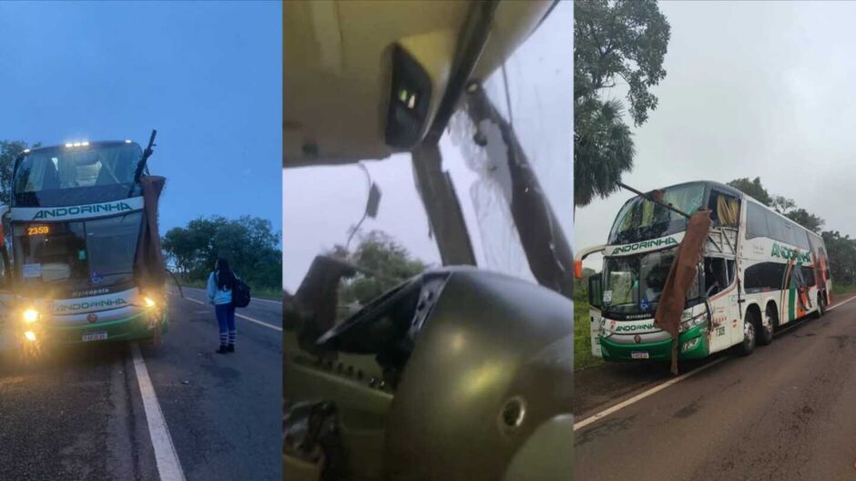 Vídeo: Acidente grave na BR-262: ônibus bate em caminhão e deixa mortos e feridos