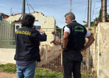 Terrenos baldios: Prefeitura reforça que manter sua propriedade limpa é dever do munícipe