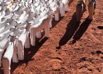 Artistas de MS são selecionadas para a 2ª Bienal das Amazônias, que acontece no Pará