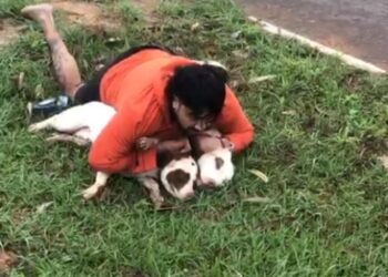 Mestre de Muay Thai imobiliza pitbulls após ataque em Ponta Porã e faz alerta: “Poderia ter sido uma criança”