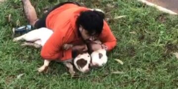 Mestre de Muay Thai imobiliza pitbulls após ataque em Ponta Porã e faz alerta: “Poderia ter sido uma criança”