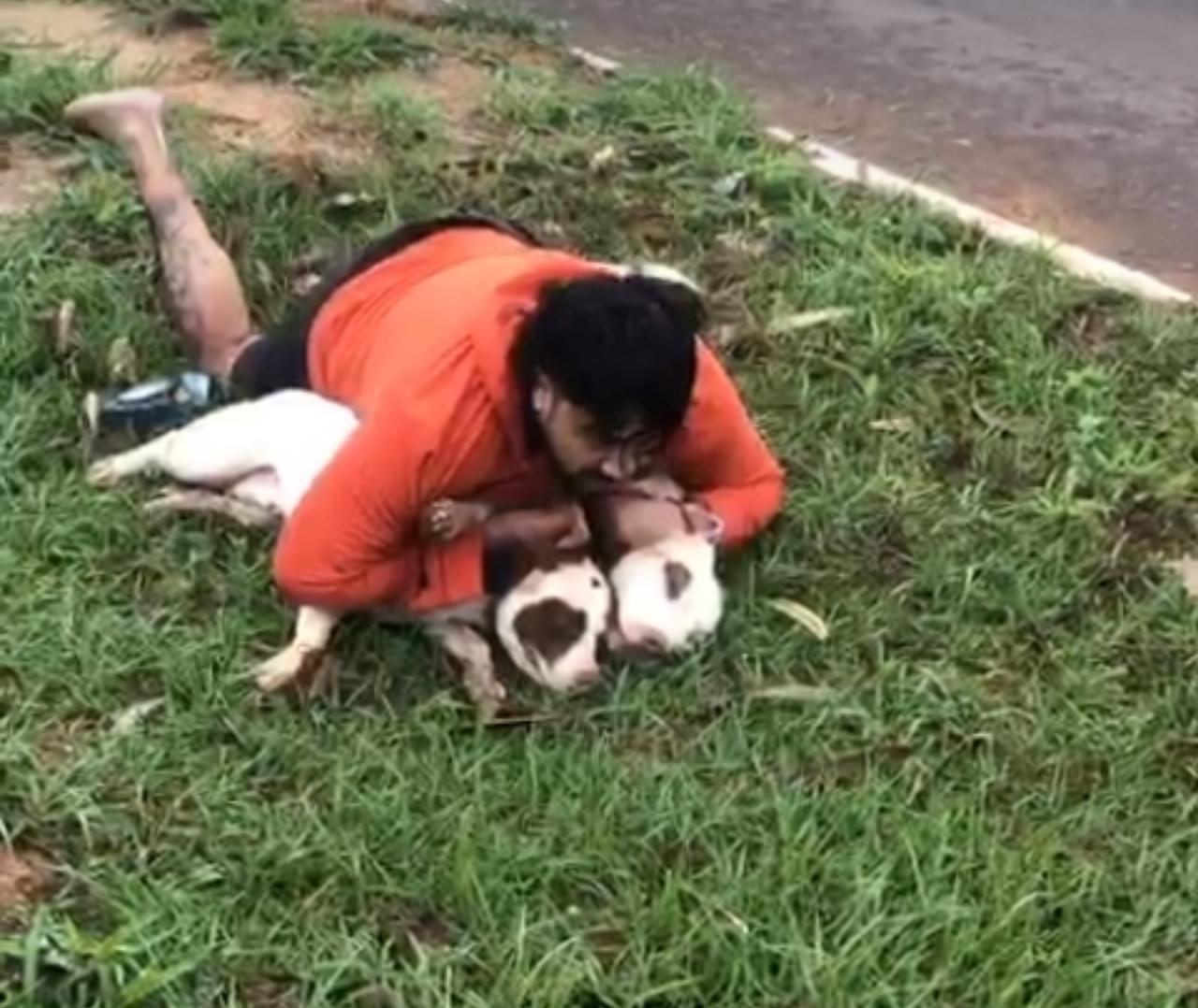 Mestre de Muay Thai imobiliza pitbulls após ataque em Ponta Porã e faz alerta: “Poderia ter sido uma criança”