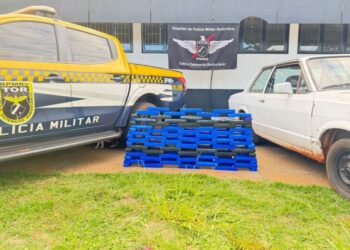 Homem é preso com 69 quilos de maconha após tentar fugir da PM na MS-295