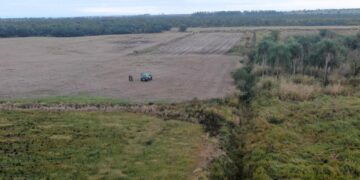 Fazendeiro é multado por desrespeitar embargo e ampliar dano ambiental em MS